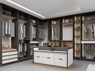 Modern Walk in Closet Interior Design With Cabinets Hanging Clothes Drawers And Central Countertop 3d model