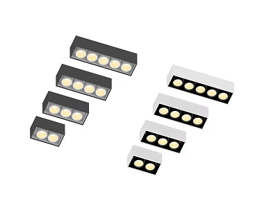 Sleek Black and White Downlights and Spotlights with Multiple LED Bulbs 3d model
