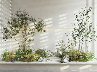 Indoor Garden Decoration With Diverse Plants Stones And Light Shadows Through Perforated Wall 3d model
