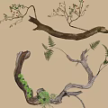 Decorative Branches with Ferns and Berries as Wall Decor on Light Colored Wall