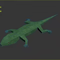 Green Lizard 3D Model With Low Poly Design Yellow Eyes And Smooth Surface 3d model