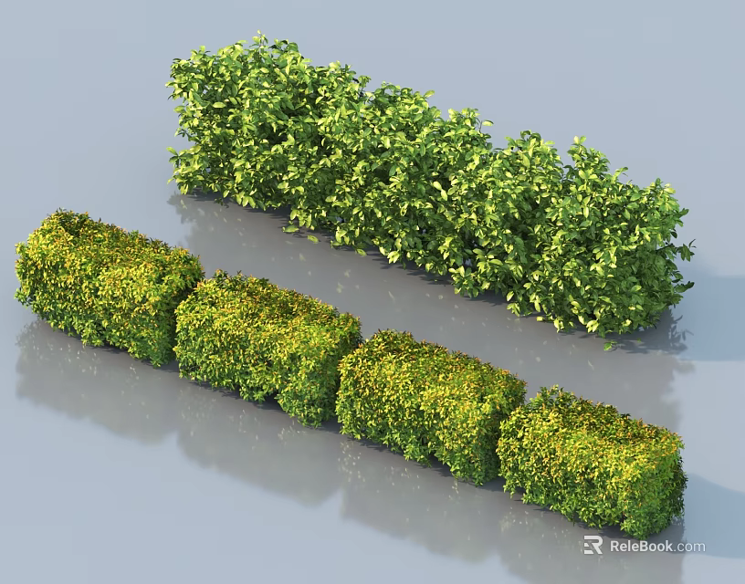 Well Trimmed Bushes in Neat Blocks and Naturally Grown Long Shaped Garden Shrubs 3d model 