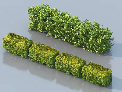 Well Trimmed Bushes in Neat Blocks and Naturally Grown Long Shaped Garden Shrubs 3d model