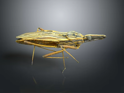 Golden Insect Model With Long Slender Legs And Striped Body Patterns 3d model