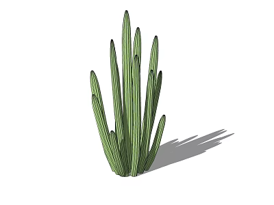 Tall Green Cactus Bonsai Potted Plant with Succulent Stems for Home Decor 3d model