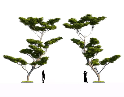 Lush Green Arbor Tree With Spreading Branches And People Figures Standing Near 3d model