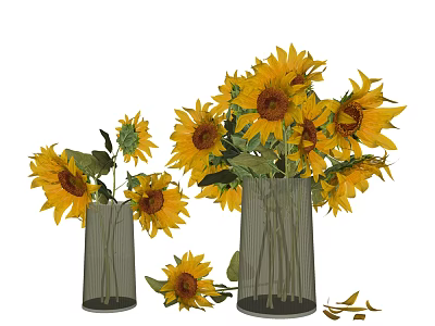 Decorative Glass Vases With Fresh Yellow Sunflowers And Green Leaves For Home Decor 3d model