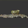 Wood And Stone Artistic Display With Natural Textures Green Accent And Detailed Patterns