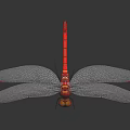 Detailed Red Dragonfly With Delicate Transparent Wings On Black Shiny Surface Close Up View