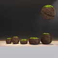Decorative Bonsai Plants In Woven Texture Pots With Various Sizes And Lush Green Foliage