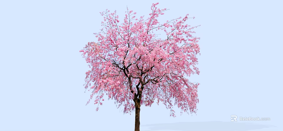 Beautiful Flowering Arbor with Pink Blossoms Against Light Blue Sky 3d model 