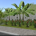 Rural Landscape With Banana Trees Pineapple Plants Brick Wall Grass And Paved Path
