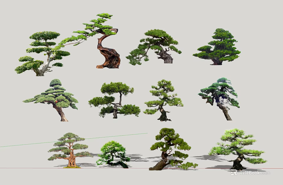Diverse Arbor Varieties With Unique Trunk Shapes And Lush Foliage 3d model 