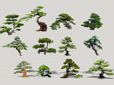 Diverse Arbor Varieties With Unique Trunk Shapes And Lush Foliage 3d model