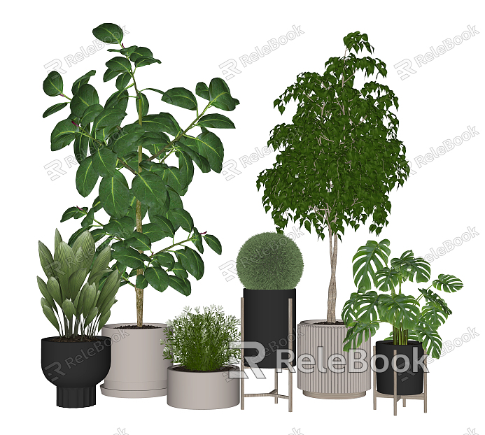 Modern Potted Plant model