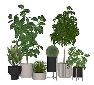 Modern Potted Plant 3d model