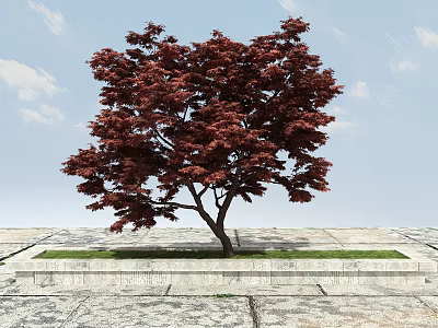 Red Foliage Ornamental Arbor On Stone Platform With Green Grass And Blue Sky 3d model