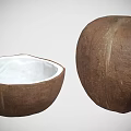 Fresh Whole and Halved Coconut with White Flesh Tropical Fruit Snack
