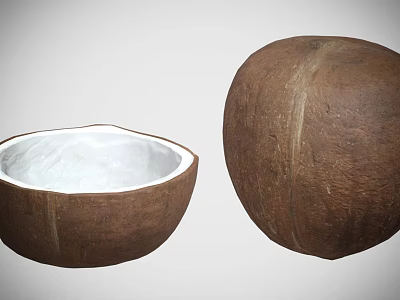 Fresh Whole and Halved Coconut with White Flesh Tropical Fruit Snack 3d model