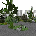 Lush Garden with Various Green Plants Cactus Succulents Gravel Path White Fence and Grass Area