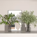 Two Glass Vases With Leafy Green Plants In Minimalist Interior With Geometric Art