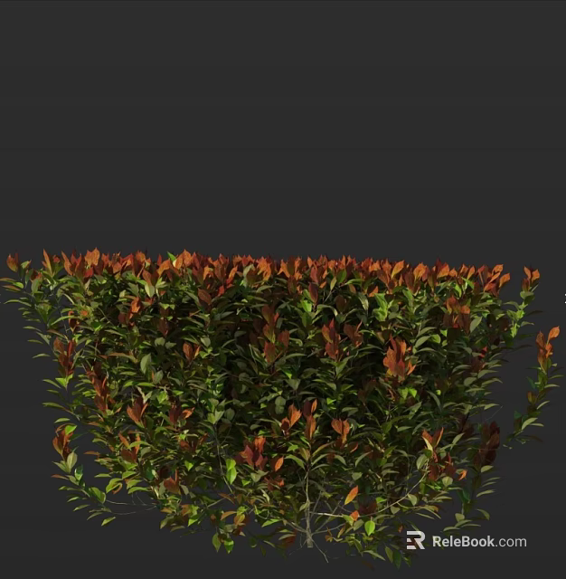 Lush Shrub with Vibrant Red and Green Leaves in Natural Growth Formation 3d model 