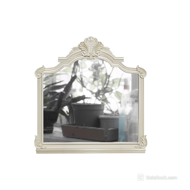 Decorative Mirror with Ornate Carved Frame and Top Design Reflecting Indoor Plants and Flower Pots 3d model 