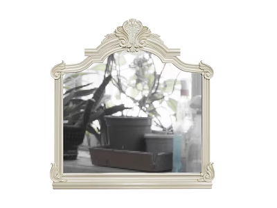 Decorative Mirror with Ornate Carved Frame and Top Design Reflecting Indoor Plants and Flower Pots 3d model