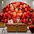 Open Public Office Space Featuring Strawberry Decor Wall And Photography Equipment Setup 3d model