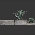 Outdoor Garden Scene With Stone Steps Square Planter And Agave Plants