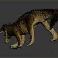 Realistic Crocodile Model With Open Mouth And Textured Skin And Reflection In Standing Pose