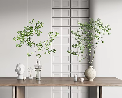 Wooden Table With Vases Green Plants White Sculpture Small Decorations And White Grid Wall 3d model