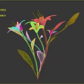 Pink Flowers with Green Stems Leaves and Buds on Gray Background