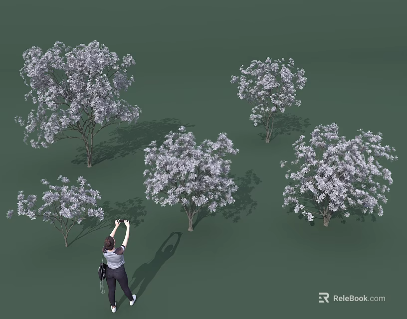 Multiple Blooming Flowering Arbors With White Blossoms And Person Taking Photos On Green Background 3d model 