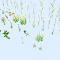 Different Kinds of Flowers and Plants Showcase With Green Foliage And Colorful Blooms