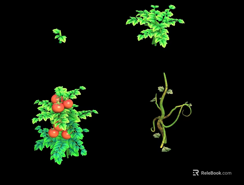 Fresh Growing Crop Plants With Tomato Fruits Green Leaves And Twisting Vines 3d model 