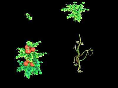 Fresh Growing Crop Plants With Tomato Fruits Green Leaves And Twisting Vines 3d model
