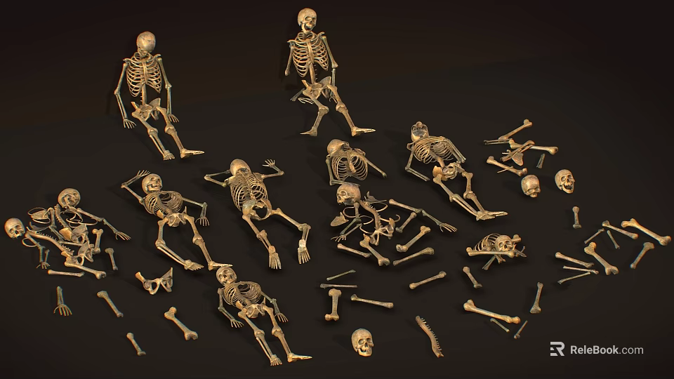 Multiple Golden Human Skeleton Models With Scattered Limbs And Bones 3d model
