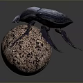 Blue beetle carrying brown textured dung ball on dark background surface 3d model