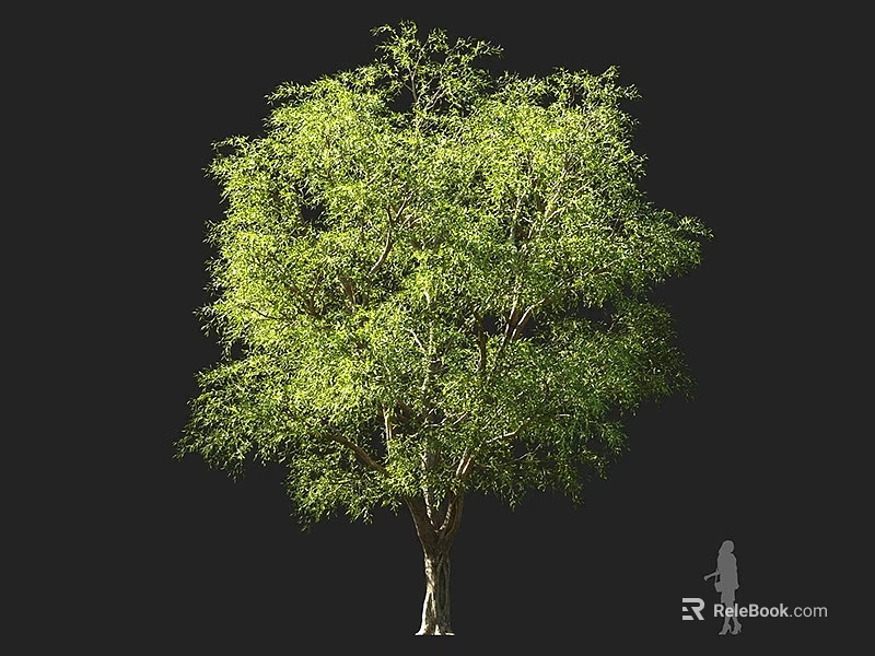 Arbor With Lush Green Foliage Dense Branches Strong Trunk And Healthy Growth 3d model 