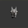 White Horned Animal Skull Bone Organ And Fur Associated Mammal Features