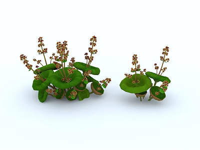 Green Leaf Succulent Plants With Small Flowers And Decorative Potted Design 3d model