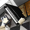 Elegant Room with Musical Instruments Art Supplies Grand Piano Wicker Chairs and Geometric Floor