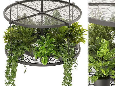 Multi Tiered Hanging Rack with Lush Green Potted Plants for Indoor Decor 3d model