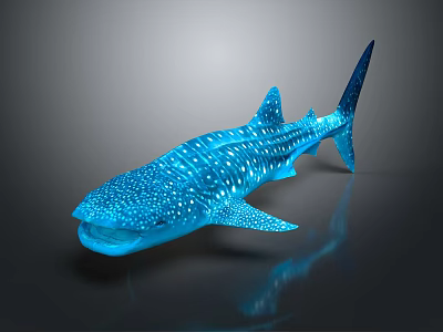 Blue Whale Shark with White Spots on Dark Background and Reflection 3d model Blue Whale Shark with White Spots on Dark Background and Reflection 3d model