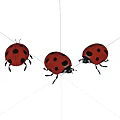 Three Red Ladybugs Flying Insects With Black Spots On White Background 3d model