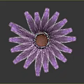 Decorative Ornament Set With Purple Feather Plant And Pineapple Shaped Vase On White Base