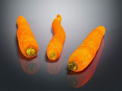 Modern radish carrot 3d model