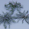 Lush Green Plants With Purple Flowers And Vines On Blue Background