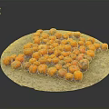 Pile of Fresh Orange Citrus Fruits On Round Natural Stone Plate